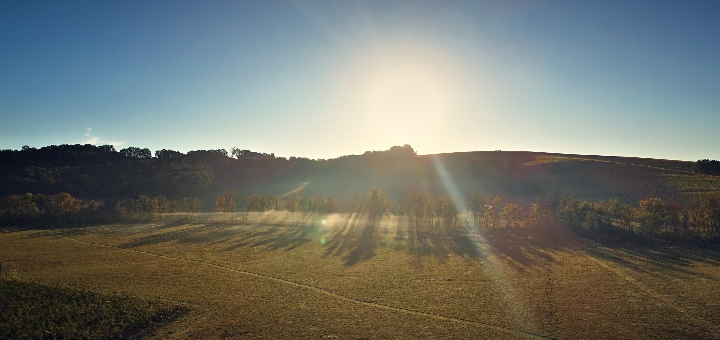 Low sun breaking over a hill, with long tree shadows and mist across a golden field