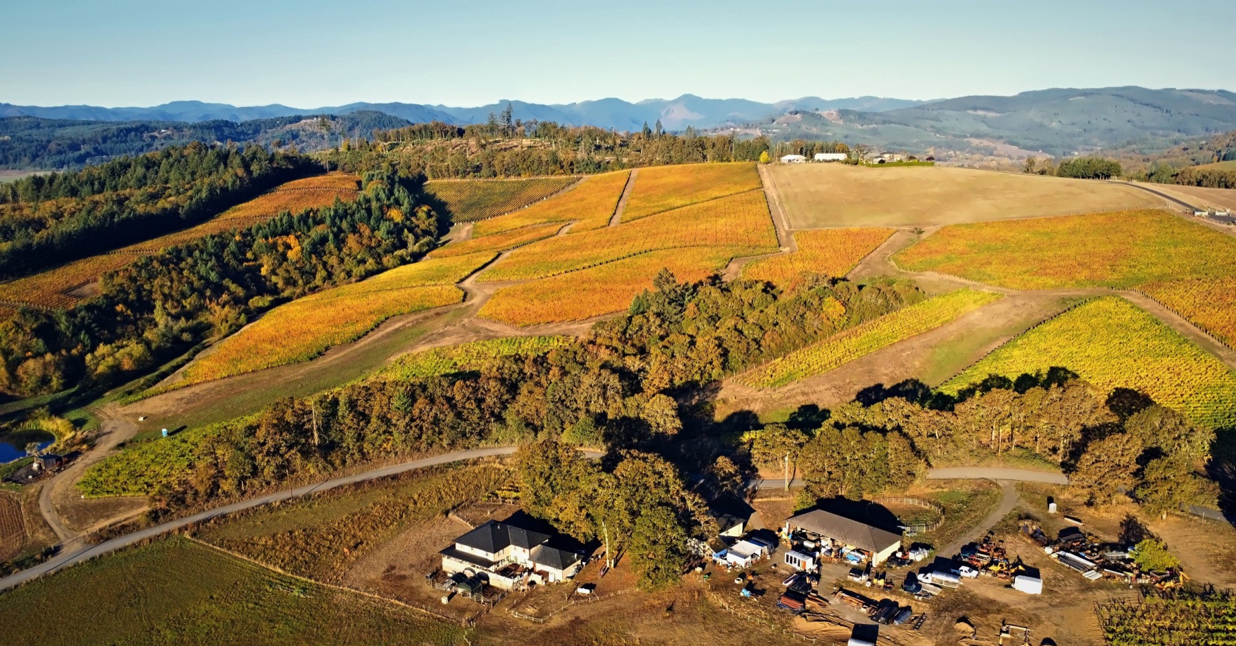 Aerial view of the estate with the homestead among autumn-gold vineyard blocks and distant ridgelines