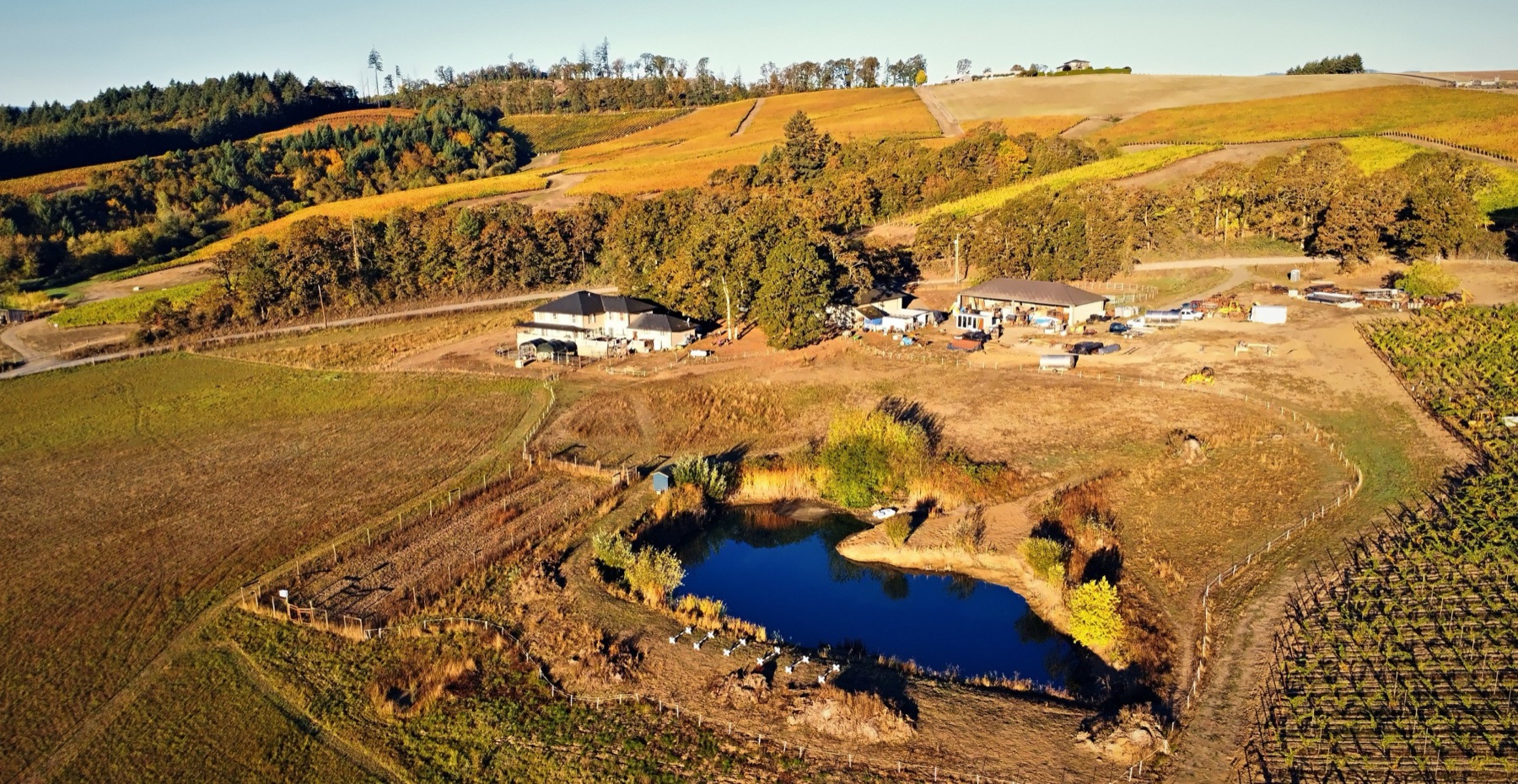 Aerial view of the homestead beside a small pond, with autumn vineyard hills beyond